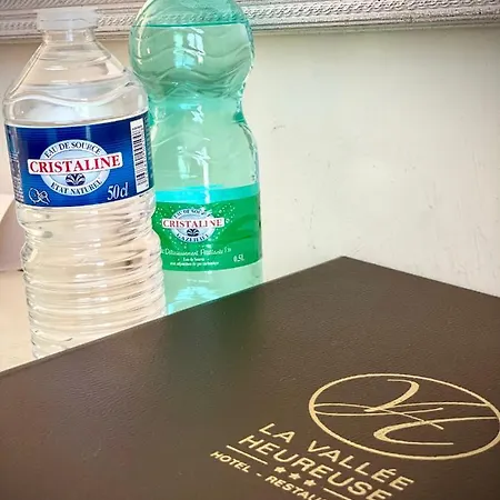 杜穆林瓦雷欢乐酒店 酒店 波利尼